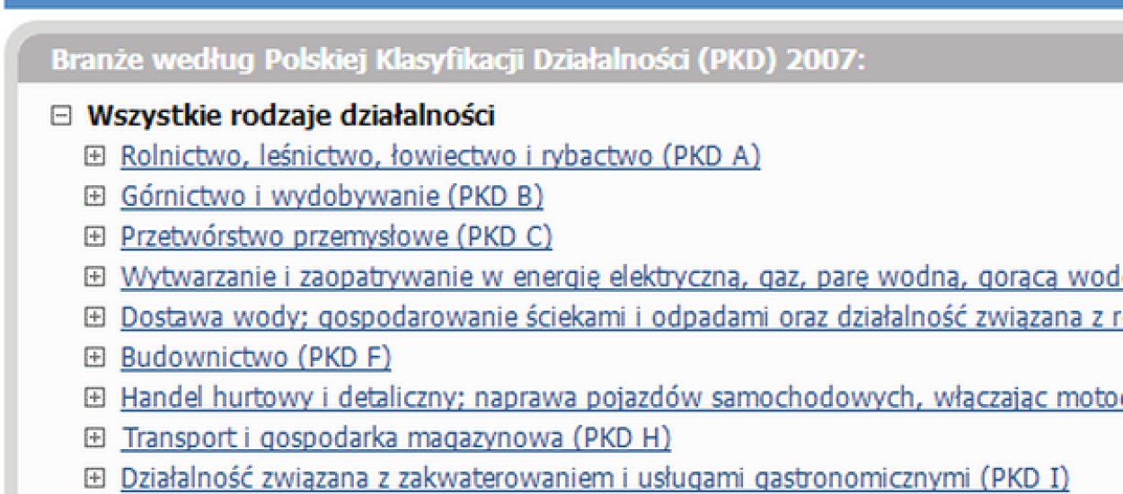 Jak się miewa polska gospodarka? Oto pierwszy internetowy agregator informacji o rodzimych firmach
