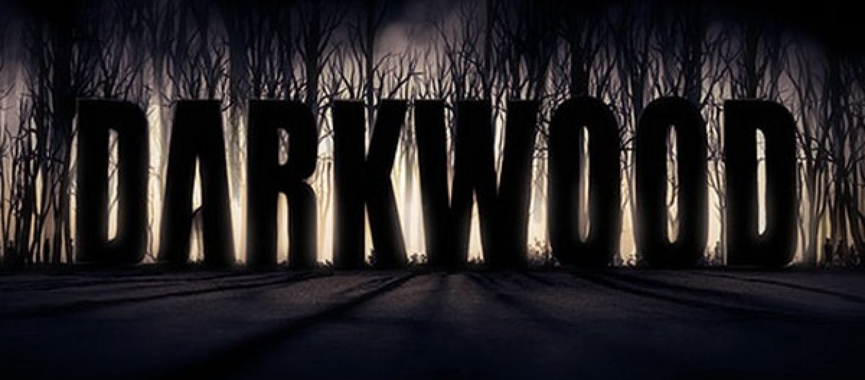 Twórcy "Darkwood" o swojej grze i zbiórce na Indiegogo - "5% odwiedzających naszą stronę to Polacy"