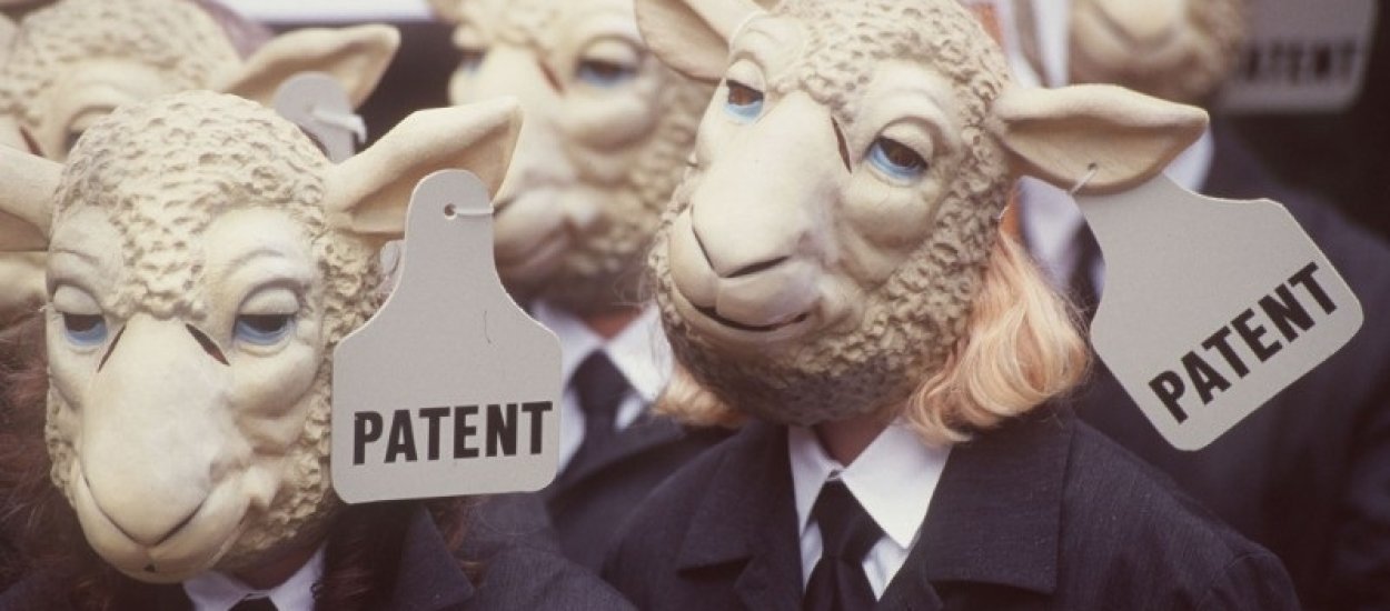 Co jest ważniejsze: patenty czy rozwój?
