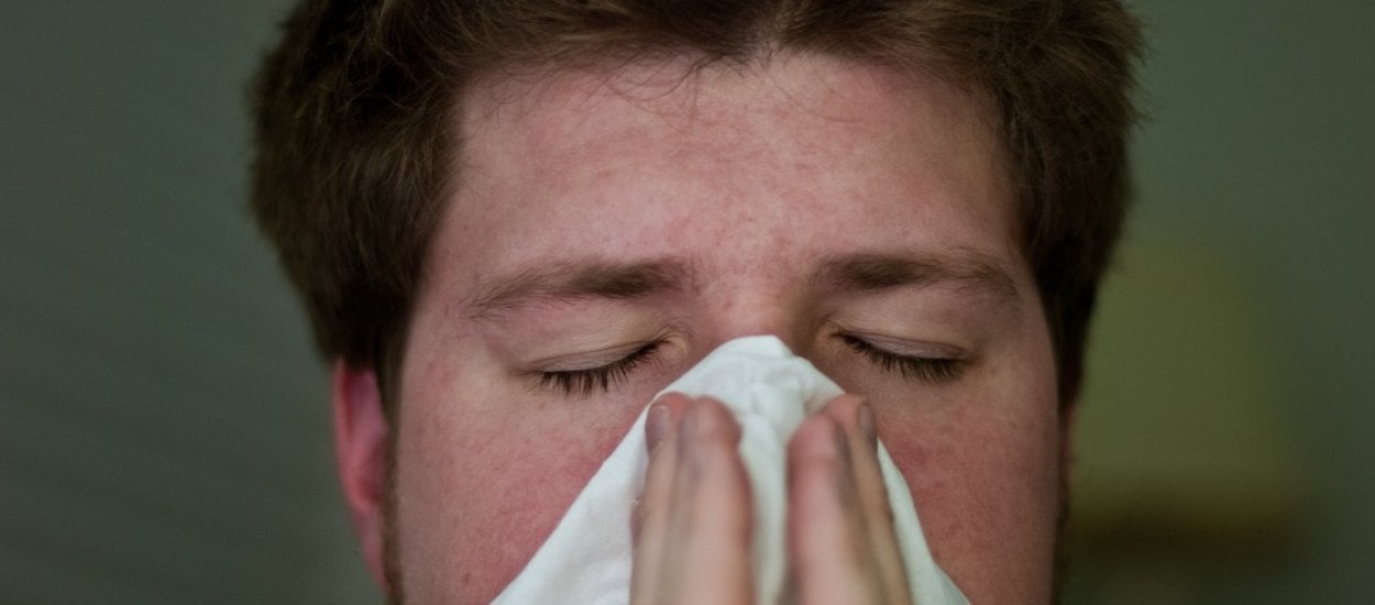 Sickweather – aplikacja ostrzeże nas przed grypą
