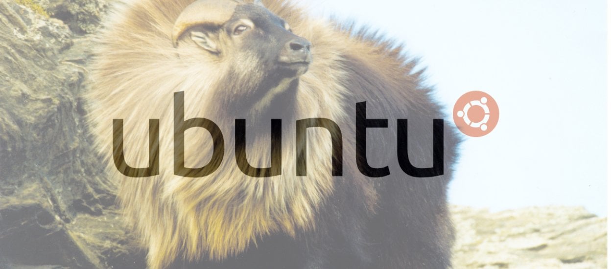 Ubuntu - plany na przyszłość, co przyniesie 2014 rok?