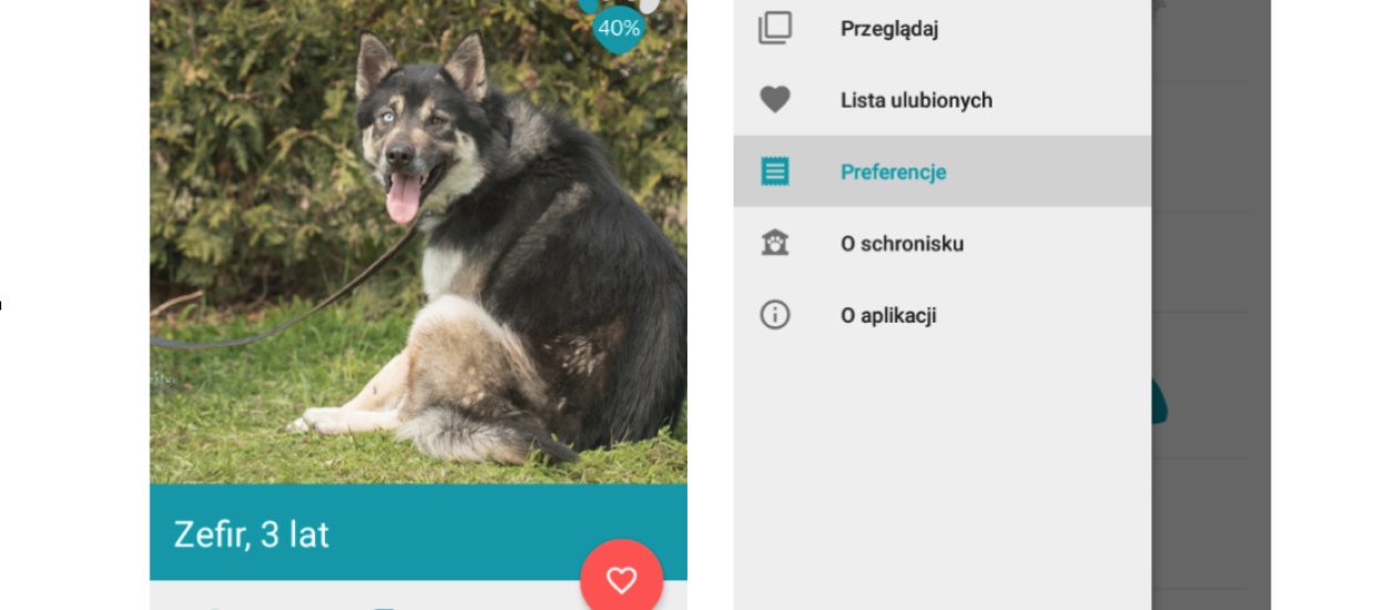 Gdańsk zrobił  Tindera dla zwierzaków ze schroniska! Kapitalna inicjatywa