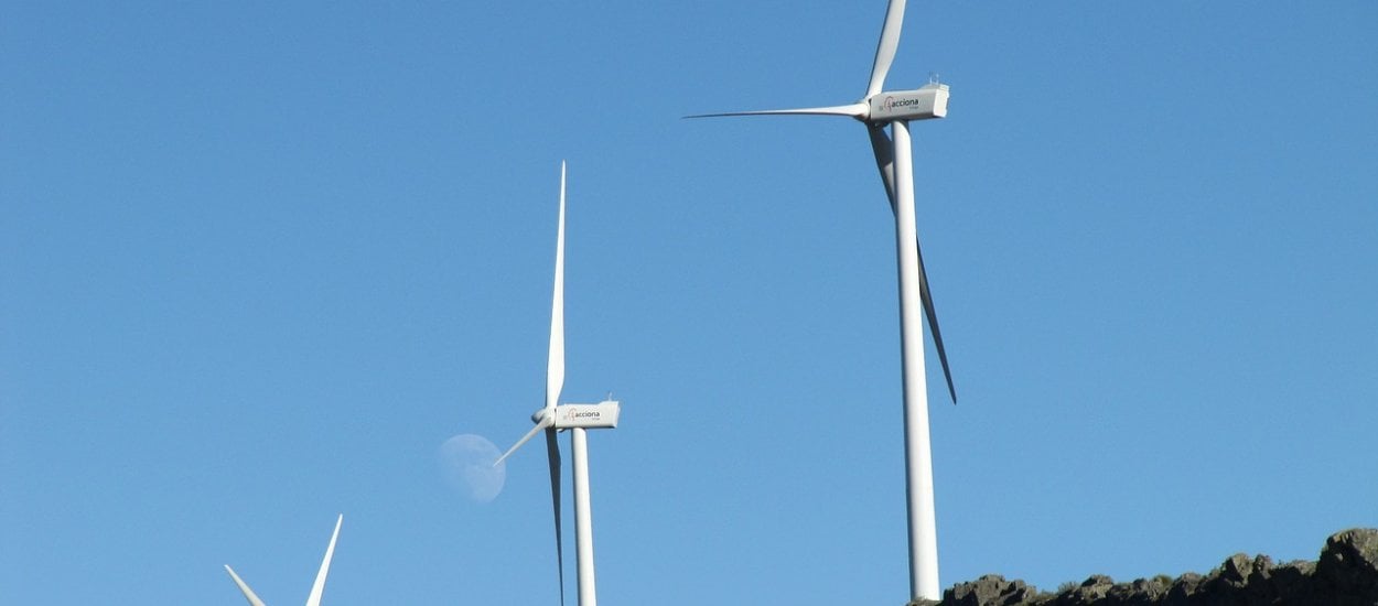 Energia wiatrowa nie taka dobra jak się wydawało? Duńczycy mają wątpliwości