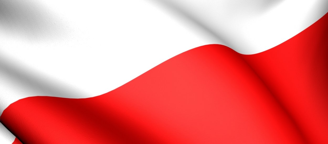 MSWiA chce, żeby Polacy mogli opłacać mandaty kartą bezpośrednio u funkcjonariusza