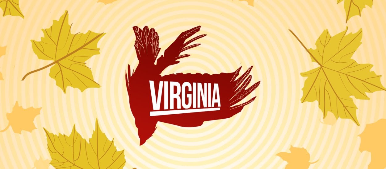 Virginia — tajemnicza i niema "nie gra" z filmowym montażem