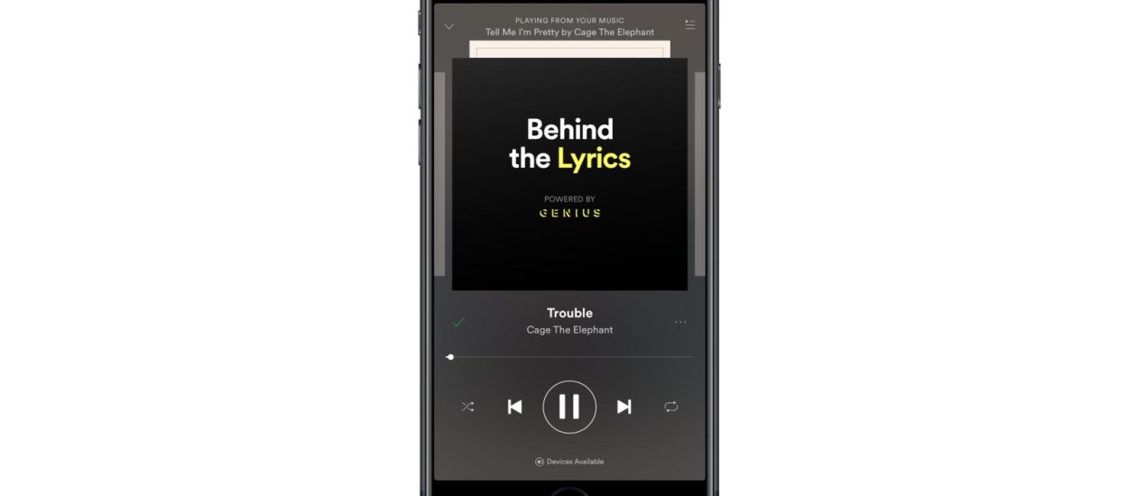 Od roku Spotify nie oferuje tekstów piosenek. Behind the Lyrics są super, ale...