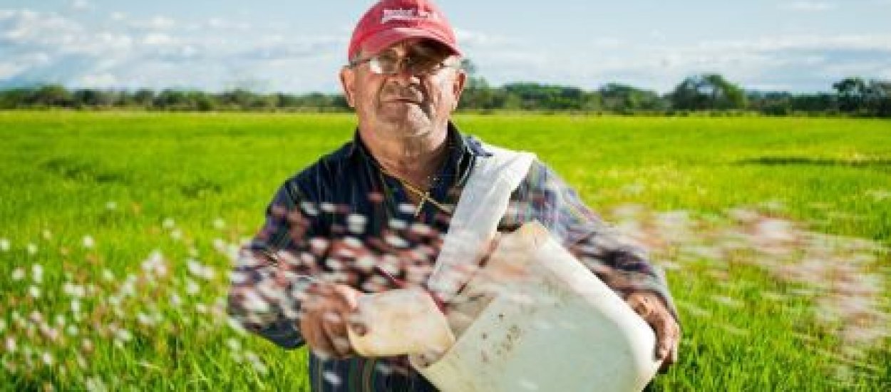 Nielegalne dopłaty dla rolników - odbiorców skontrolują... satelity