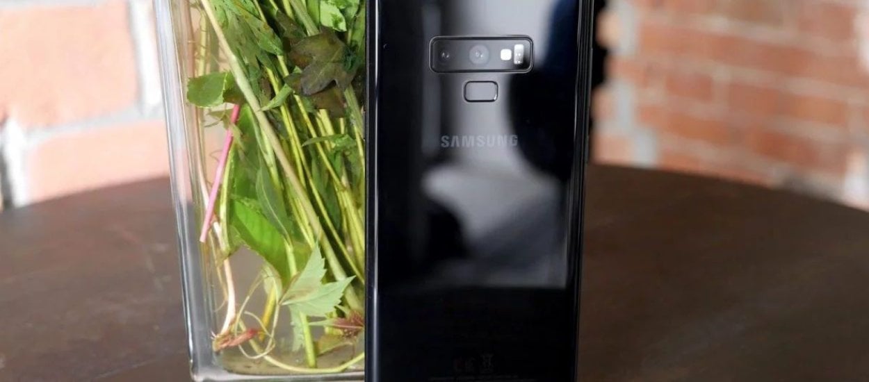 W bieli i z ekranem 4K - pomysł Samsunga na nowe Note'y