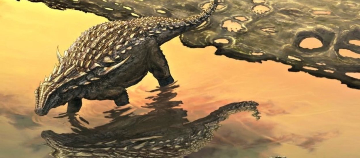 Paleodietetyka: Naukowcy zabrali się za skamieniałego dinozaura i już wiedzą jaki był jego ostatni posiłek