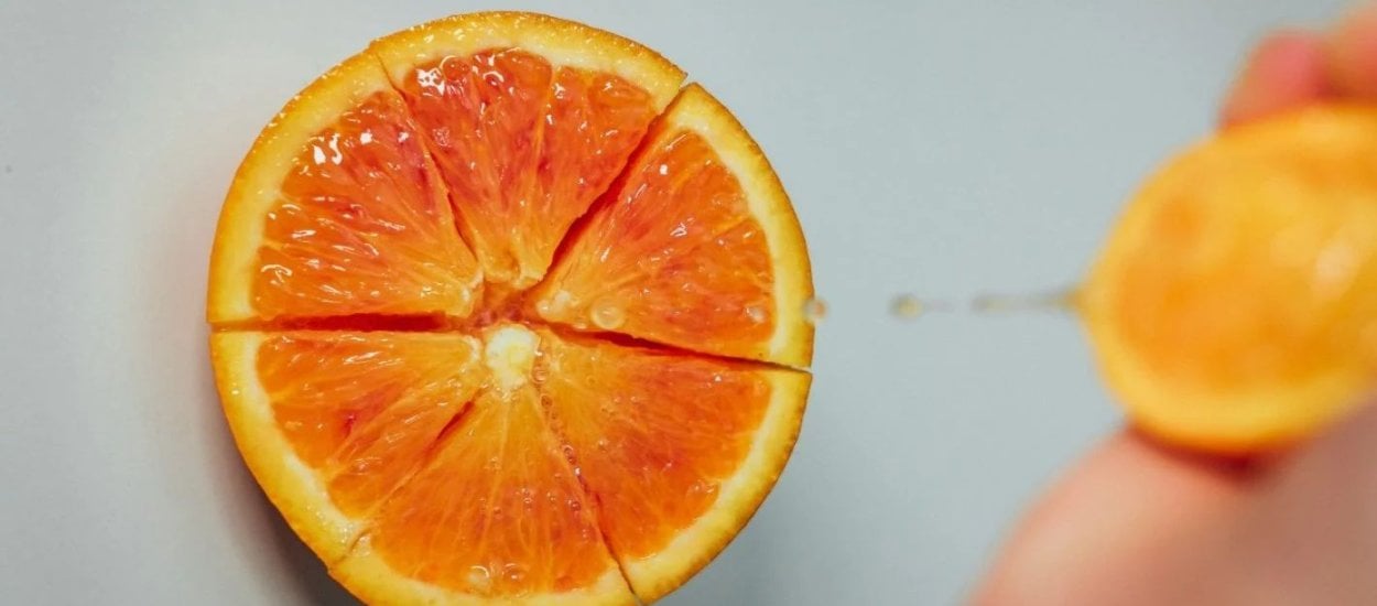 Świetne wyniki Orange za 2021 - aż milion klientów więcej, i to abonamentowych