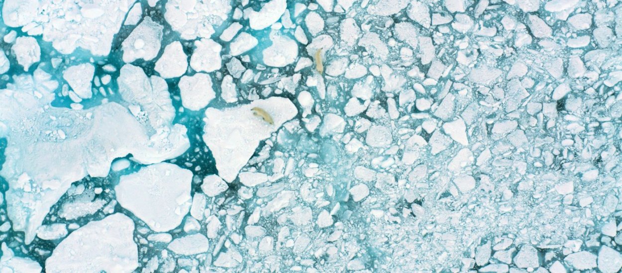 Arktyka topnieje i musicie zobaczyć ten dokument, by zrozumieć