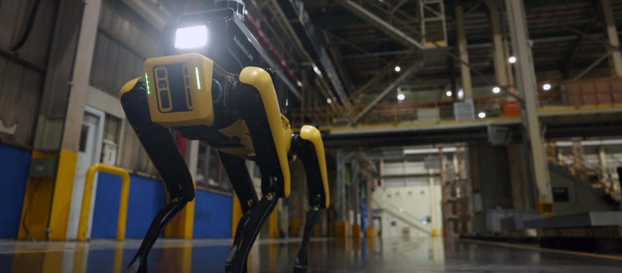 Czworonożny pies-robot Boston Dynamics rusza w tournée po Polsce
