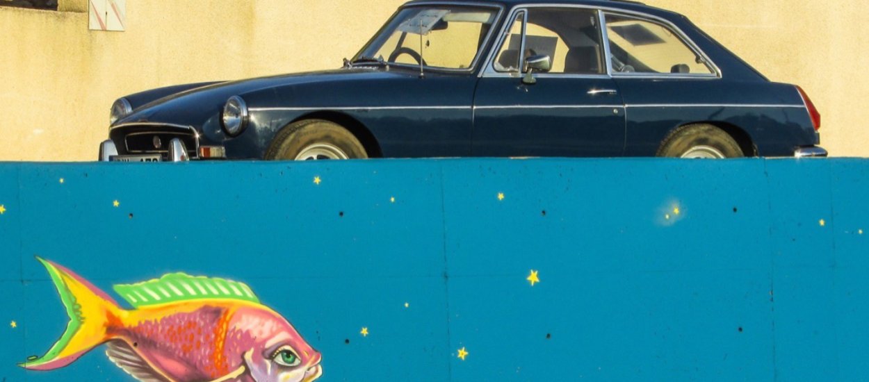 Czy złota rybka może kierować pojazdem? Naukowcy postanowili sprawdzić :)