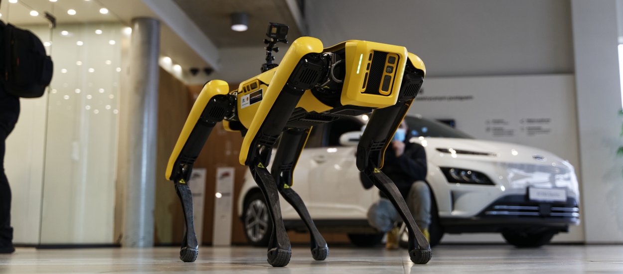Widzieliśmy robota Boston Dynamics Spot w salonie Hyundai Electrified