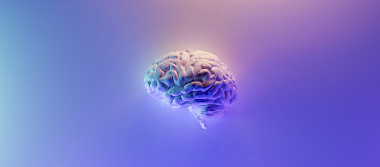 Naukowcy skopiują Twój mózg. Projekt cyfrowych bliźniaków nabiera tempa