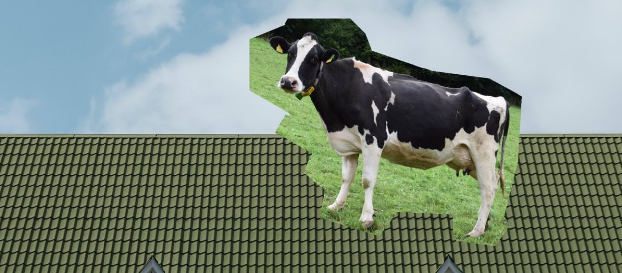 Chcesz krowę na dachu? Ten program narysuje ci krowę na dachu