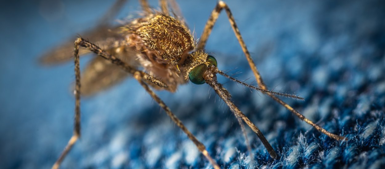 Ten antybiotyk mógłby być trucizną, ale... nią nie jest. Jest skuteczniejszy od wszystkiego, co znamy