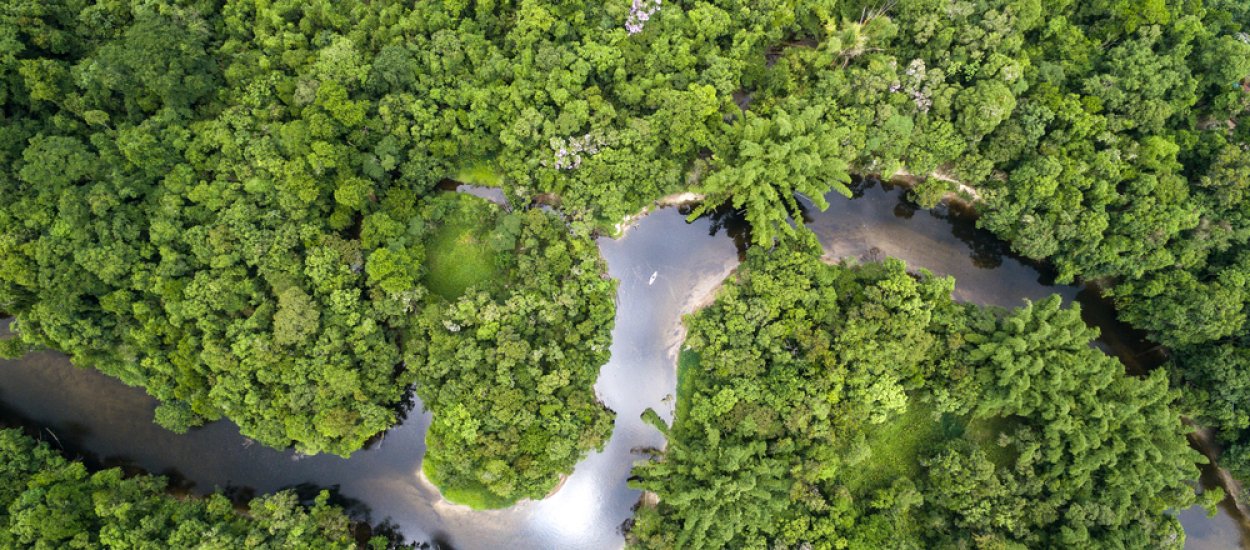 Starożytne tajemnice Amazonii odkryte dzięki laserowi