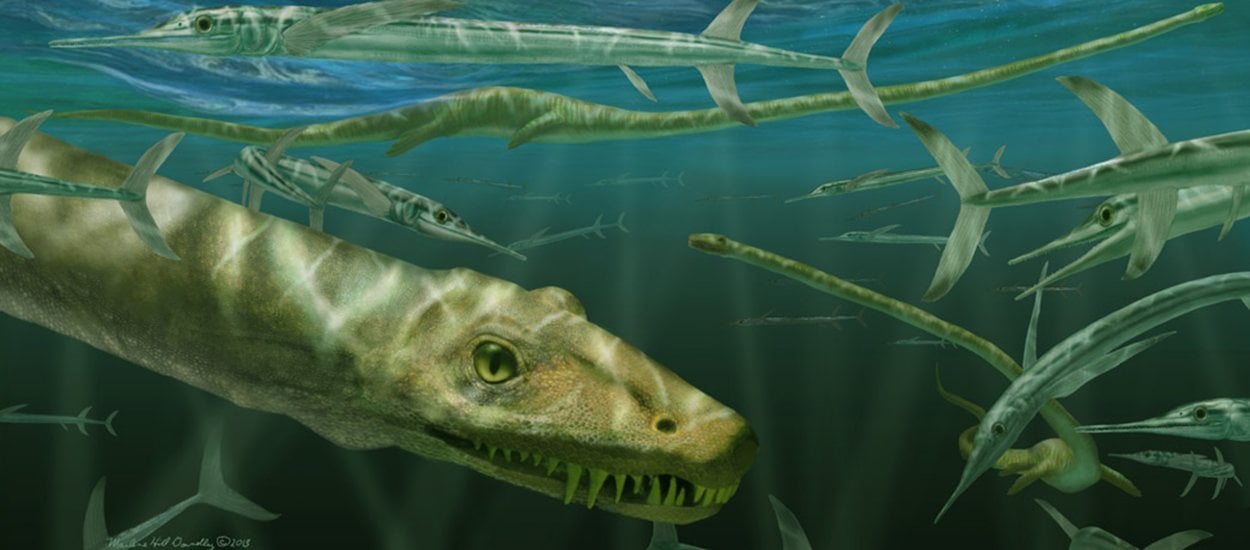 Paleontolodzy znaleźli szkielet "smoka" sprzed 240 milionów lat! Oto, czym tak naprawdę był