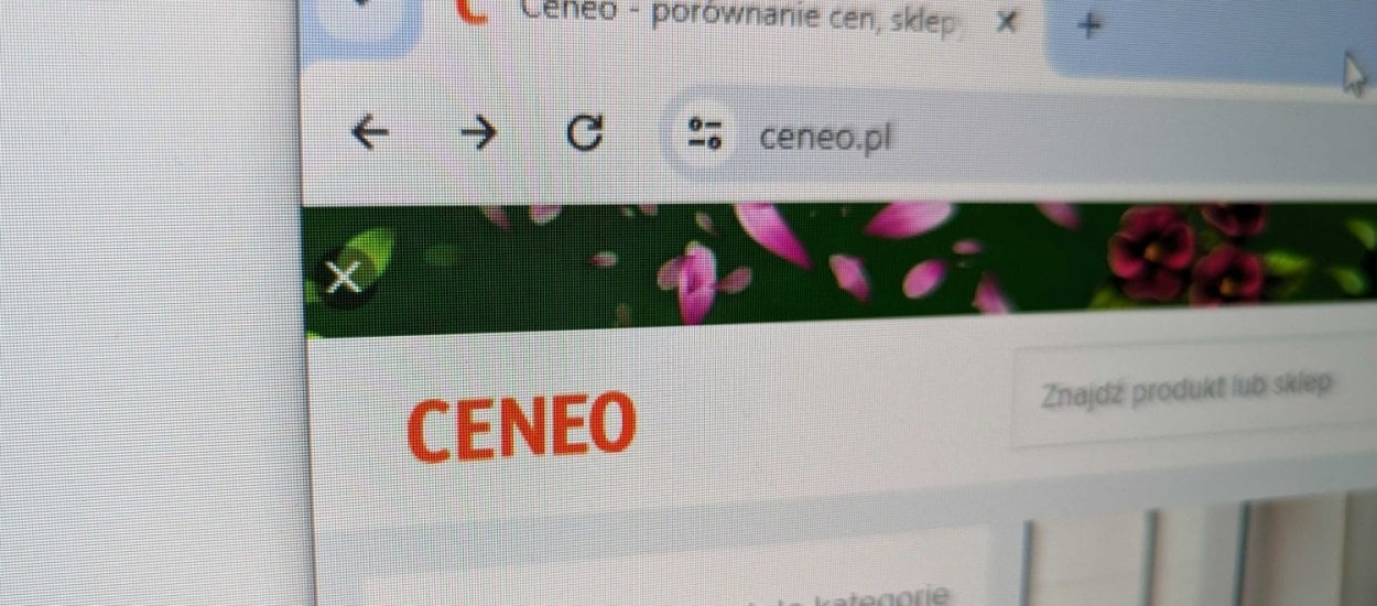Google dostało po łapach od polskiego sądu. Nie może blokować Ceneo.pl