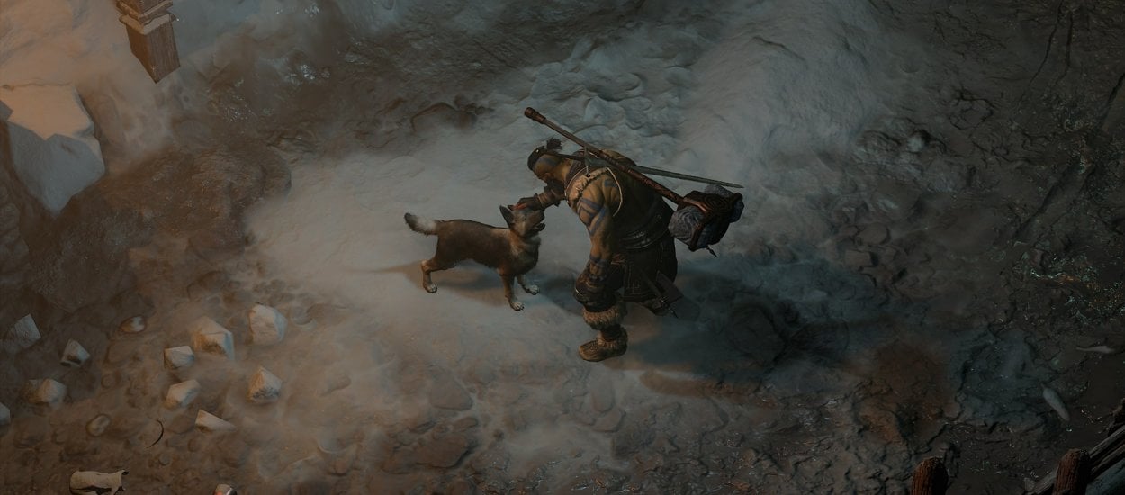 Zwierzęcy towarzysz w Diablo IV – czym jest i jak go zdobyć