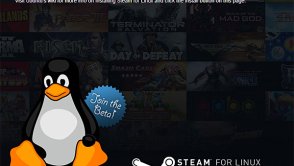 Valve robi niespodziankę na święta - Steam Beta na Linuksa ogólnie dostępny wraz z 39 grami