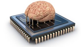 Komputer w mózgu