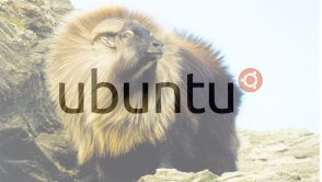 Ubuntu - plany na przyszłość, co przyniesie 2014 rok?