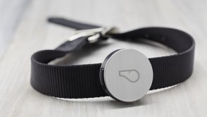 Nosisz smartwatcha, fitness tracker, a Twój pies będzie nosił WhistleGPS