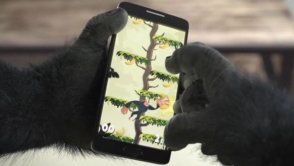 Gorilla Glass 4 - krok w stronę wytrzymałych smartfonów