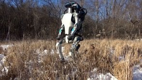 Miałem rację: w lesie można spotkać kroczącego robota