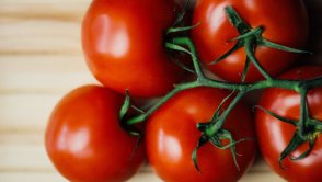 Everblume sprawi, że przez cały rok w kuchni albo salonie będzie można uprawiać pomidory, truskawki i zioła