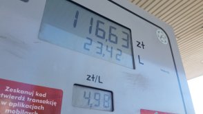Podatki, wojna i polityka czyli dlaczego ceny paliw są takie wysokie