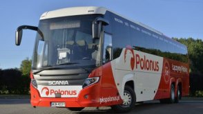 Powstaje narodowy przewoźnik autokarowy - Polonus Partner, ale to już chyba za późno