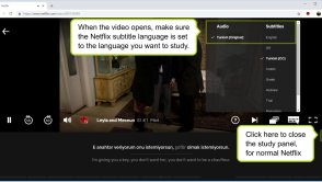 Ten dodatek do przeglądarki pozwoli uczyć się języka oglądając Netflixa