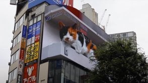 Gigantyczny kot na ulicy w Tokio. Tak się robi virale...