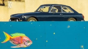 Czy złota rybka może kierować pojazdem? Naukowcy postanowili sprawdzić :)