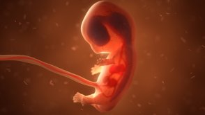 Ludzie ze słoika. Izraelscy naukowcy chcą stworzyć syntetyczny embrion człowieka