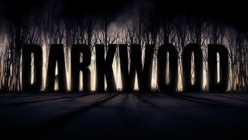 Twórcy "Darkwood" o swojej grze i zbiórce na Indiegogo - "5% odwiedzających naszą stronę to Polacy"
