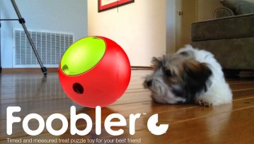 Foobler - Twój pies to pokocha!