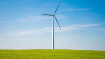 Niemcy prawie zaspokoiły potrzeby energetyczne kraju korzystając z zielonej energii