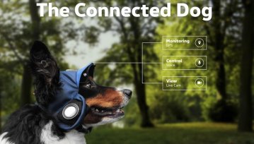 Inteligentna czapka dla psa, z głośnikiem i GPS-em. Że co? [od Natalii]