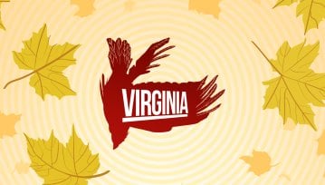 Virginia — tajemnicza i niema "nie gra" z filmowym montażem