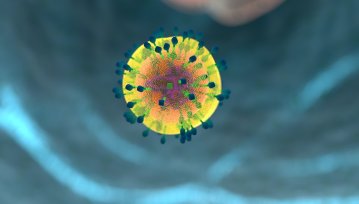 Dzięki takim odkryciom naukowców, wirus HIV już nie jest jednoznaczny z wyrokiem śmierci