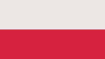 Dlaczego wybory w Polsce wciąż nie odbywają się przez internet?