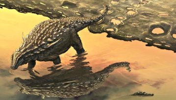 Paleodietetyka: Naukowcy zabrali się za skamieniałego dinozaura i już wiedzą jaki był jego ostatni posiłek