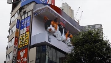 Gigantyczny kot na ulicy w Tokio. Tak się robi virale...