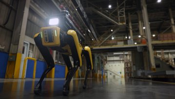 Czworonożny pies-robot Boston Dynamics rusza w tournée po Polsce