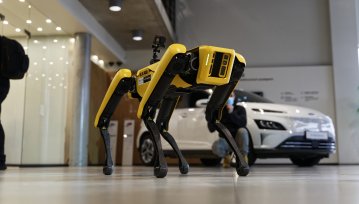 Widzieliśmy robota Boston Dynamics Spot w salonie Hyundai Electrified
