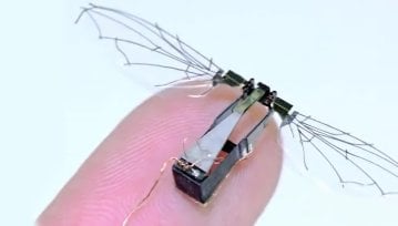 Mikro-drony wyglądające jak ważki? Spokojnie, wojsko już nad tym pracuje